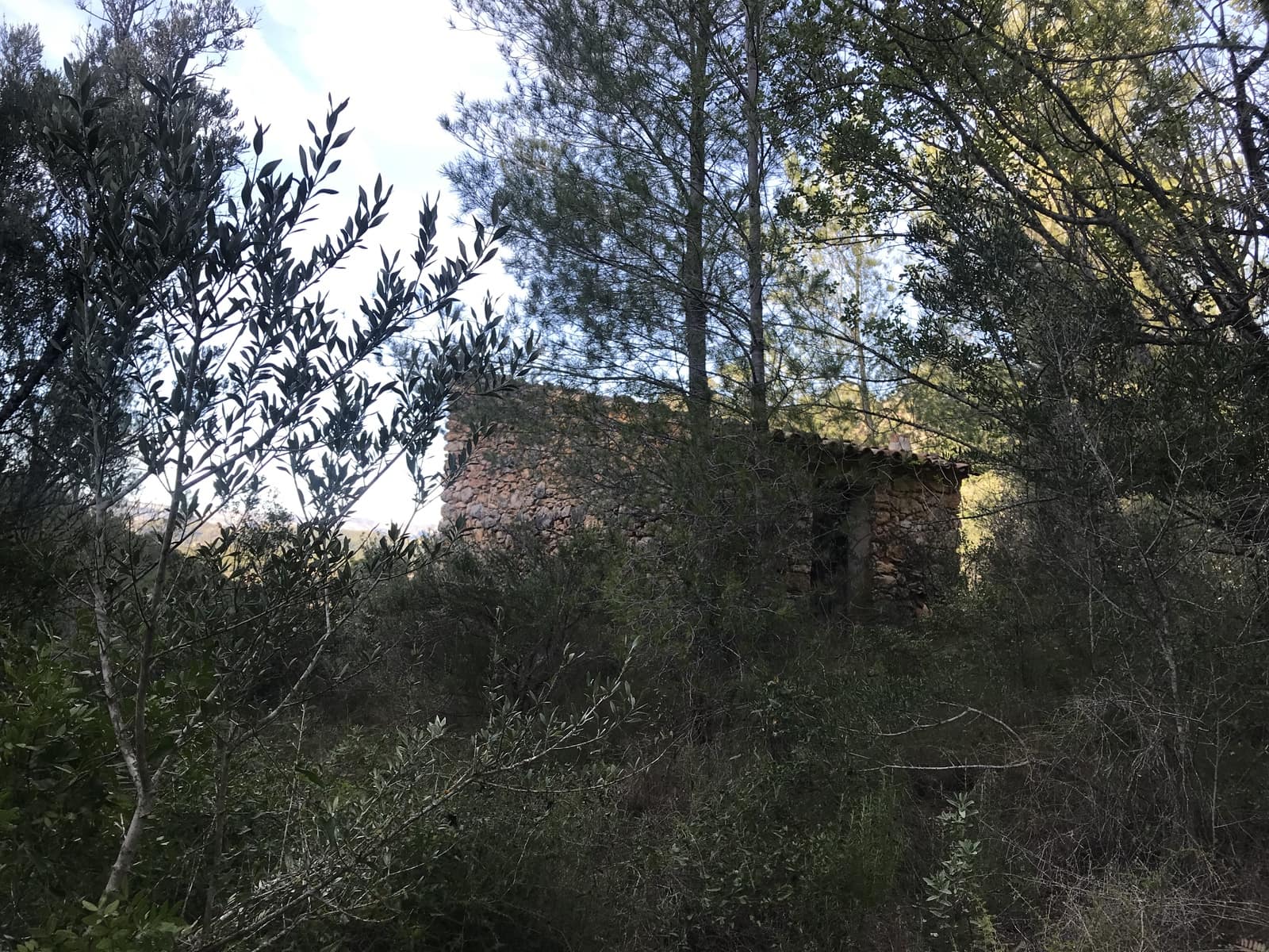 Finca/Hus på landet till salu i Benifallet - 12 000 € (Ref: 5884754)