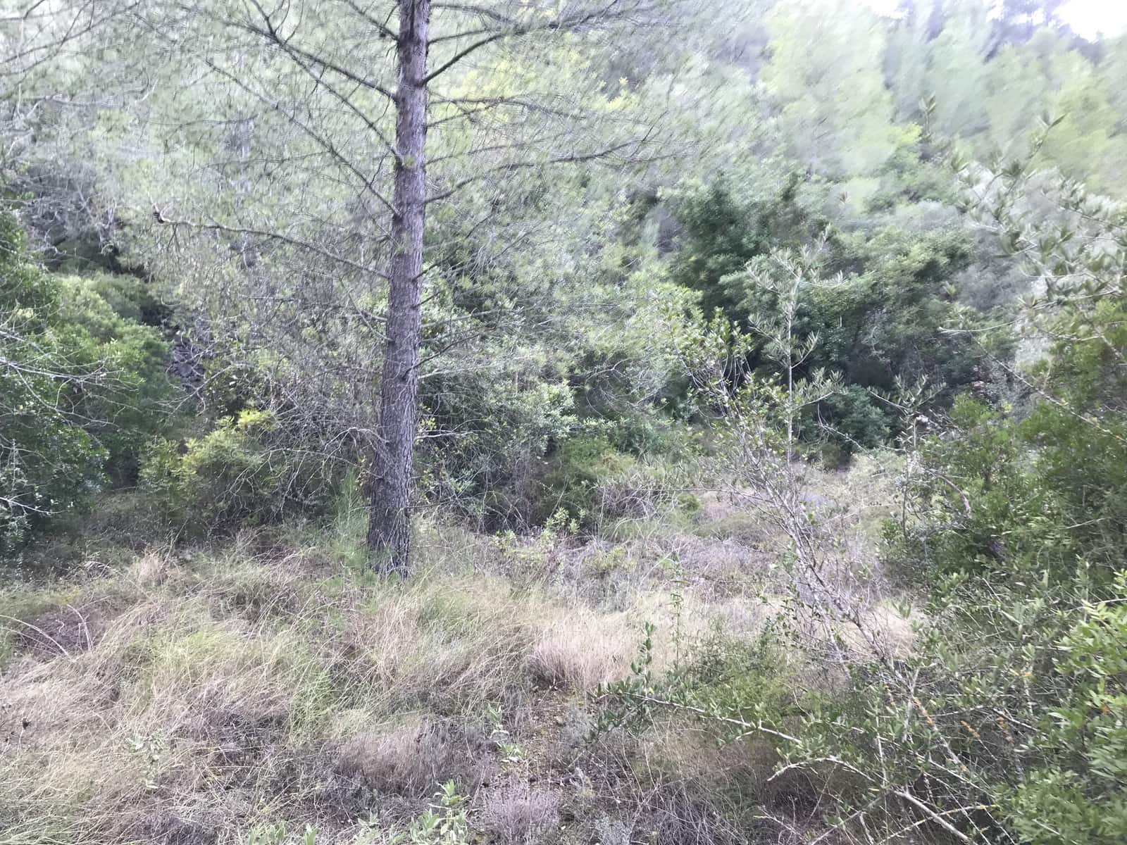 Finca/Hus på landet till salu i Benifallet - 12 000 € (Ref: 5884754)