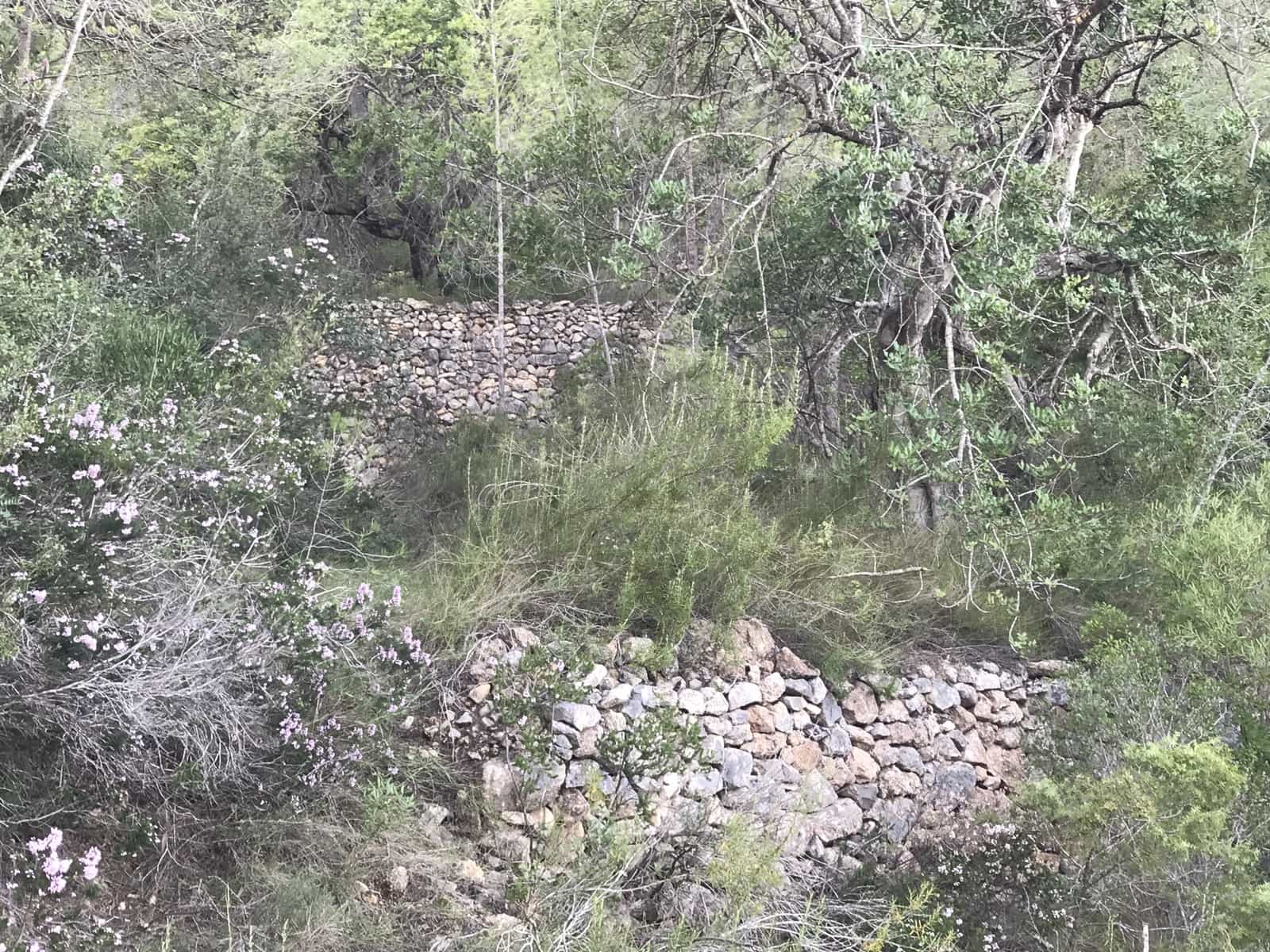 Finca/Hus på landet till salu i Benifallet - 12 000 € (Ref: 5884754)