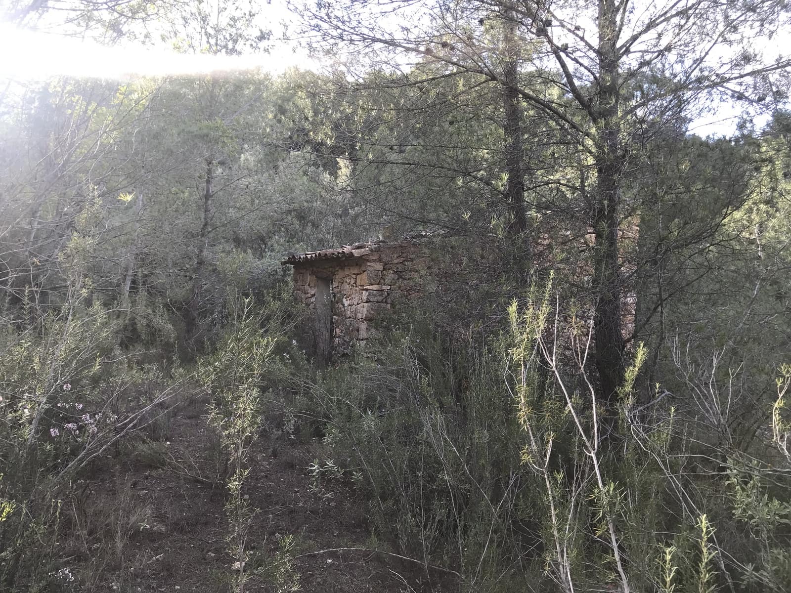 Finca/Hus på landet till salu i Benifallet - 12 000 € (Ref: 5884754)