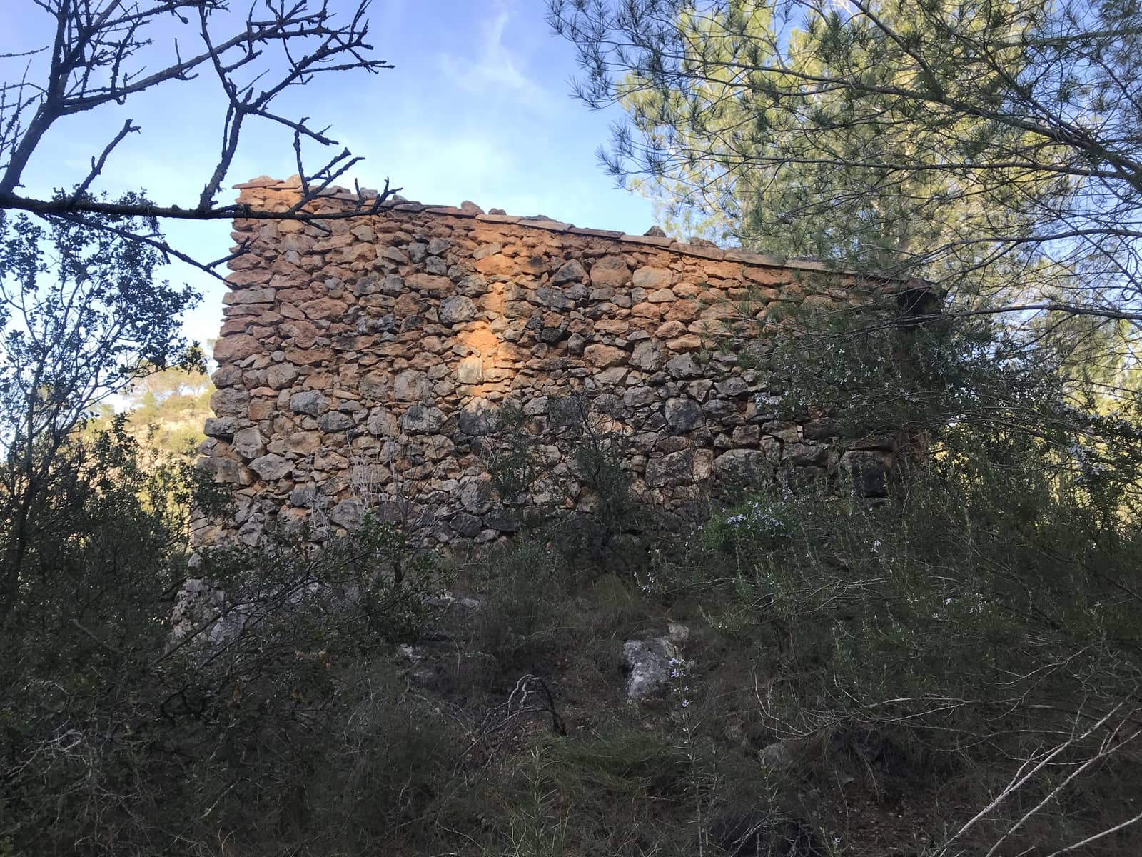 Finca/Hus på landet till salu i Benifallet - 12 000 € (Ref: 5884754)