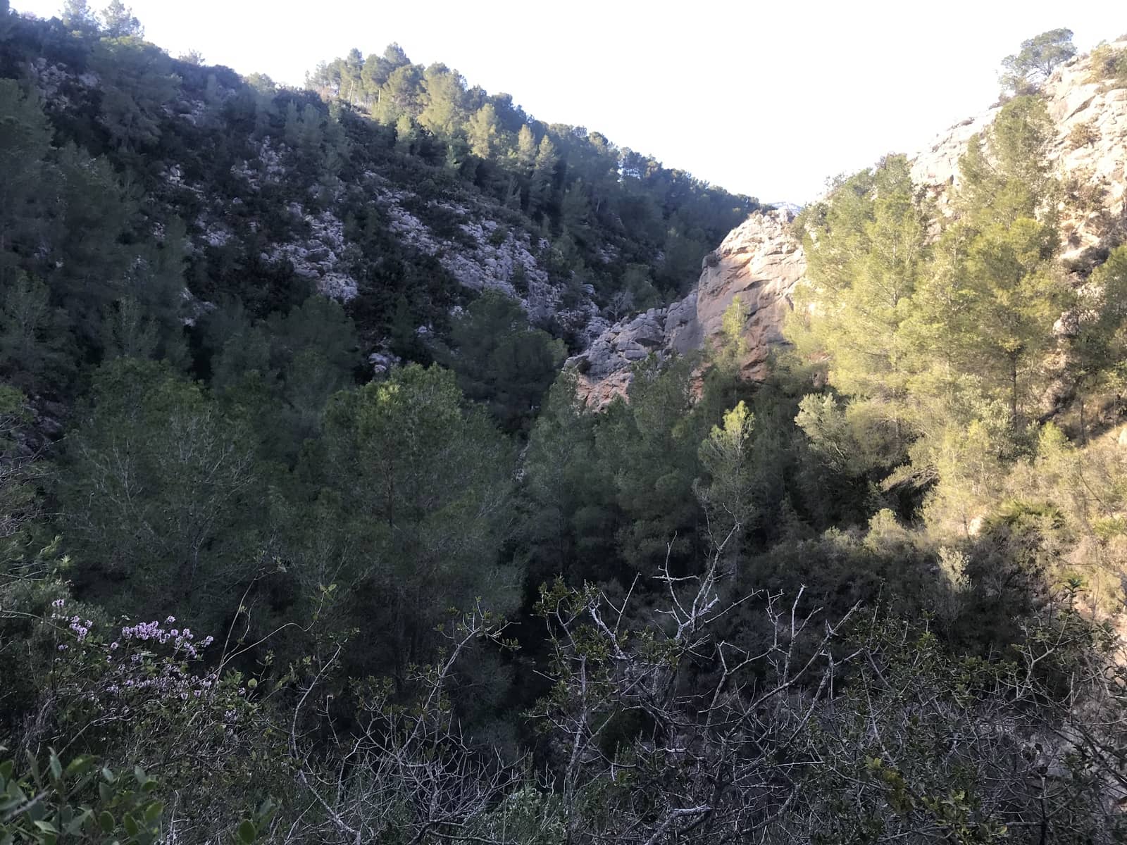 Finca/Hus på landet till salu i Benifallet - 12 000 € (Ref: 5884754)