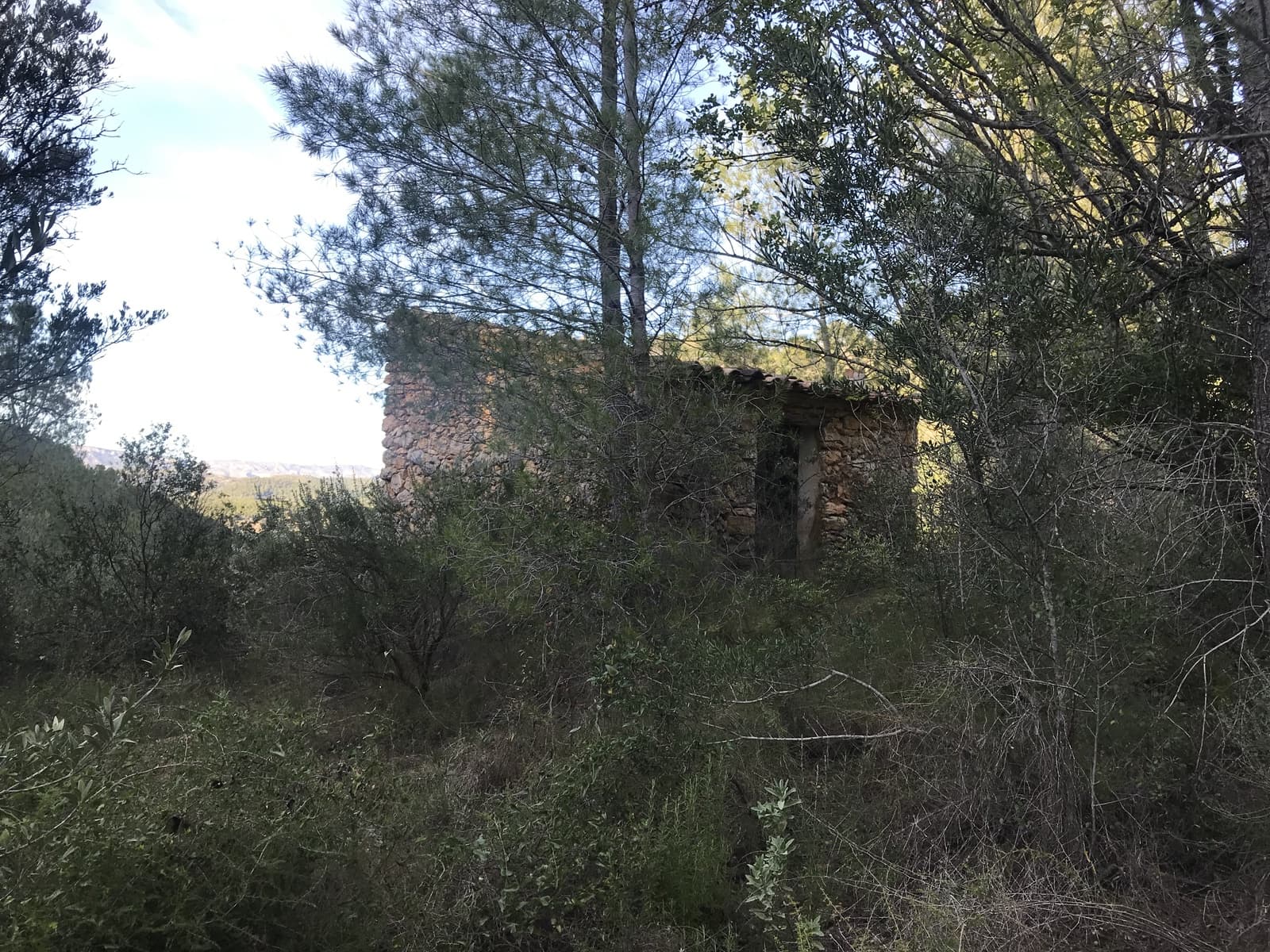 Finca/Hus på landet till salu i Benifallet - 12 000 € (Ref: 5884754)