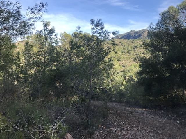 Finca/Landehus til salg i Benifallet - € 12.000 (Ref: 5884754)