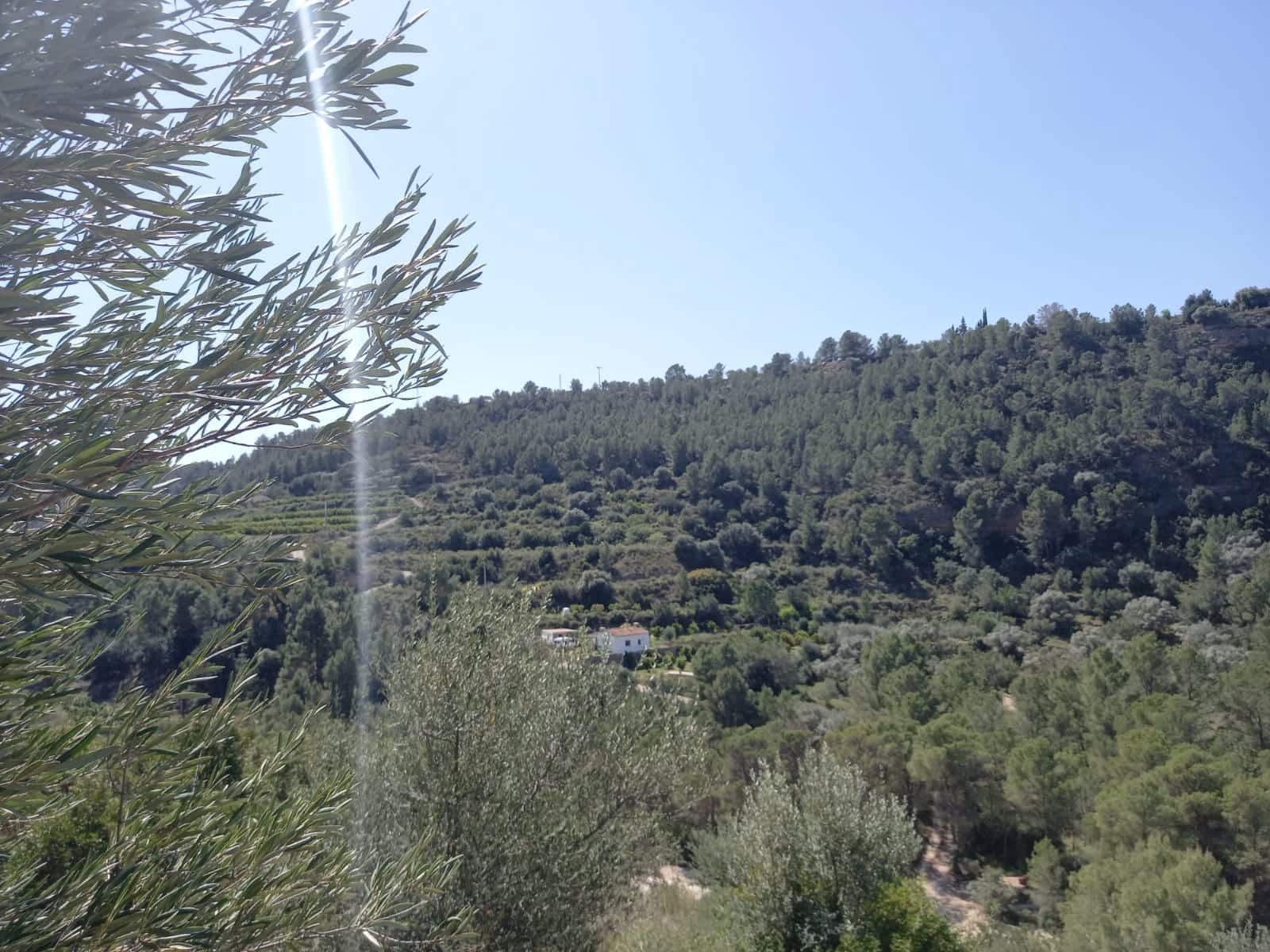 Finca/Landehus til salg i Tivenys - € 12.000 (Ref: 5998991)