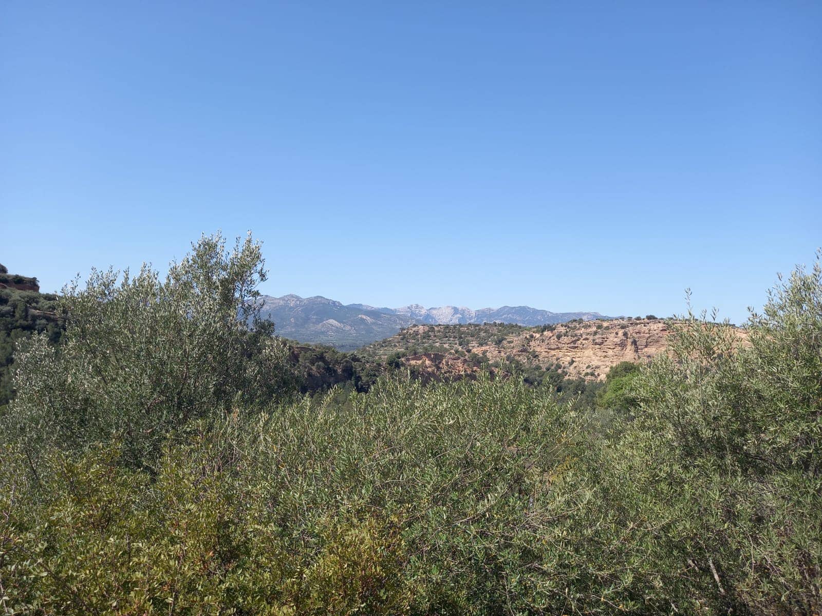 Finca/Landehus til salg i Tivenys - € 12.000 (Ref: 5998991)