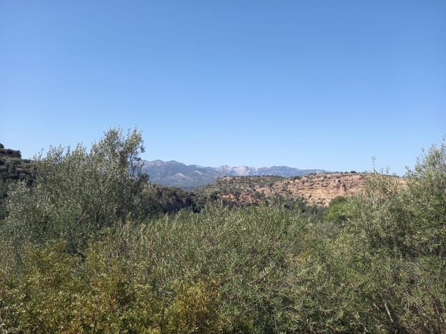 Finca/Landehus til salg i Tivenys - € 12.000 (Ref: 5998991)