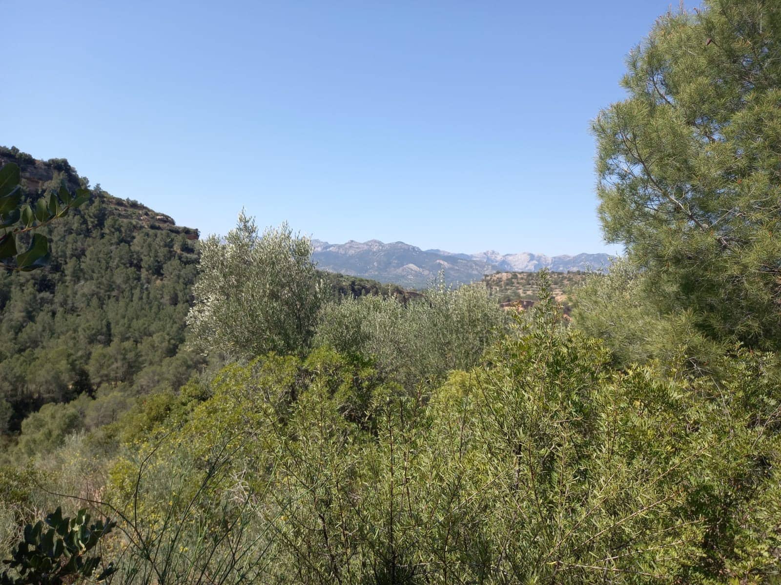 Finca/Landehus til salg i Tivenys - € 12.000 (Ref: 5998991)