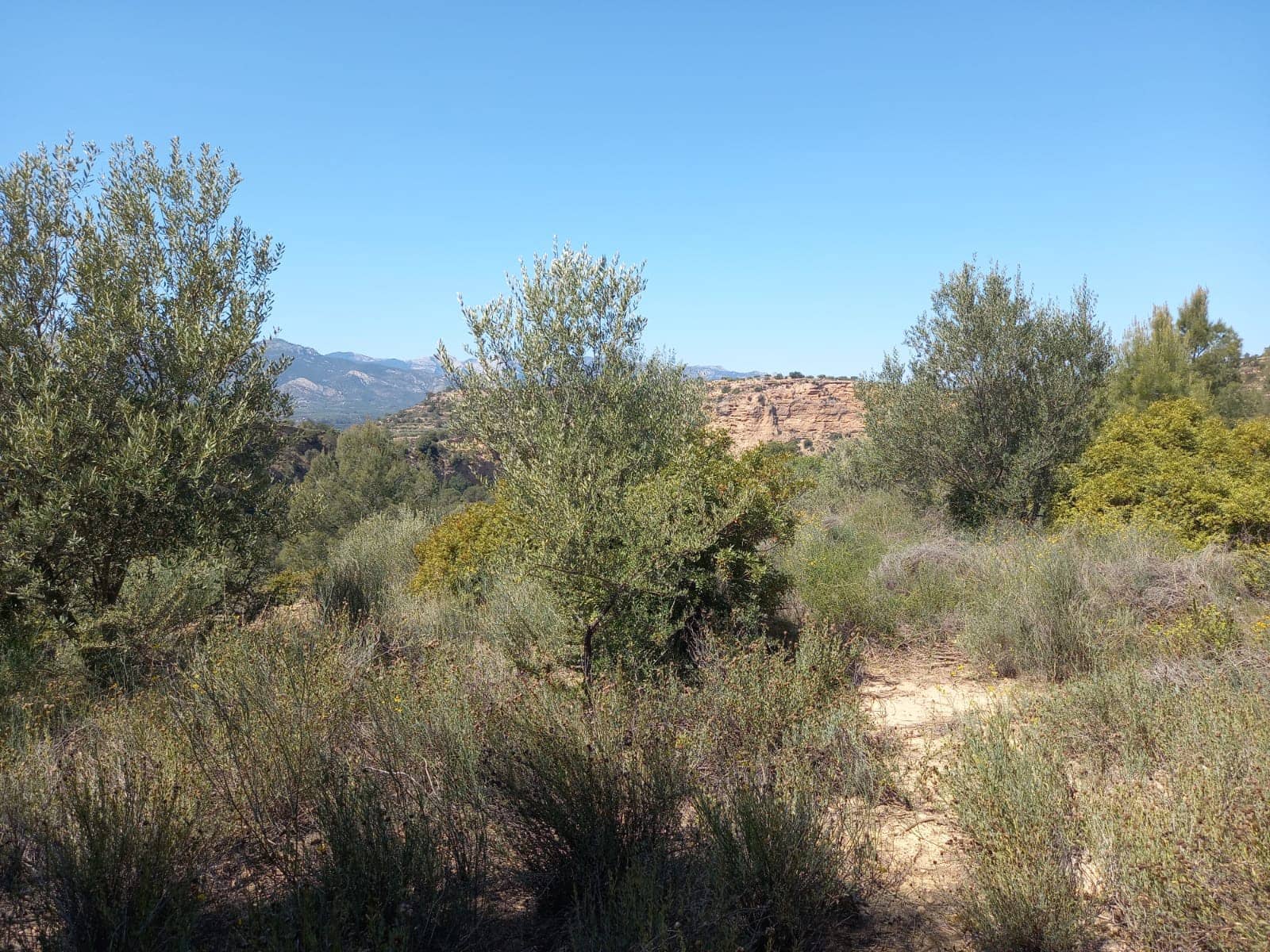 Finca/Landehus til salg i Tivenys - € 12.000 (Ref: 5998991)