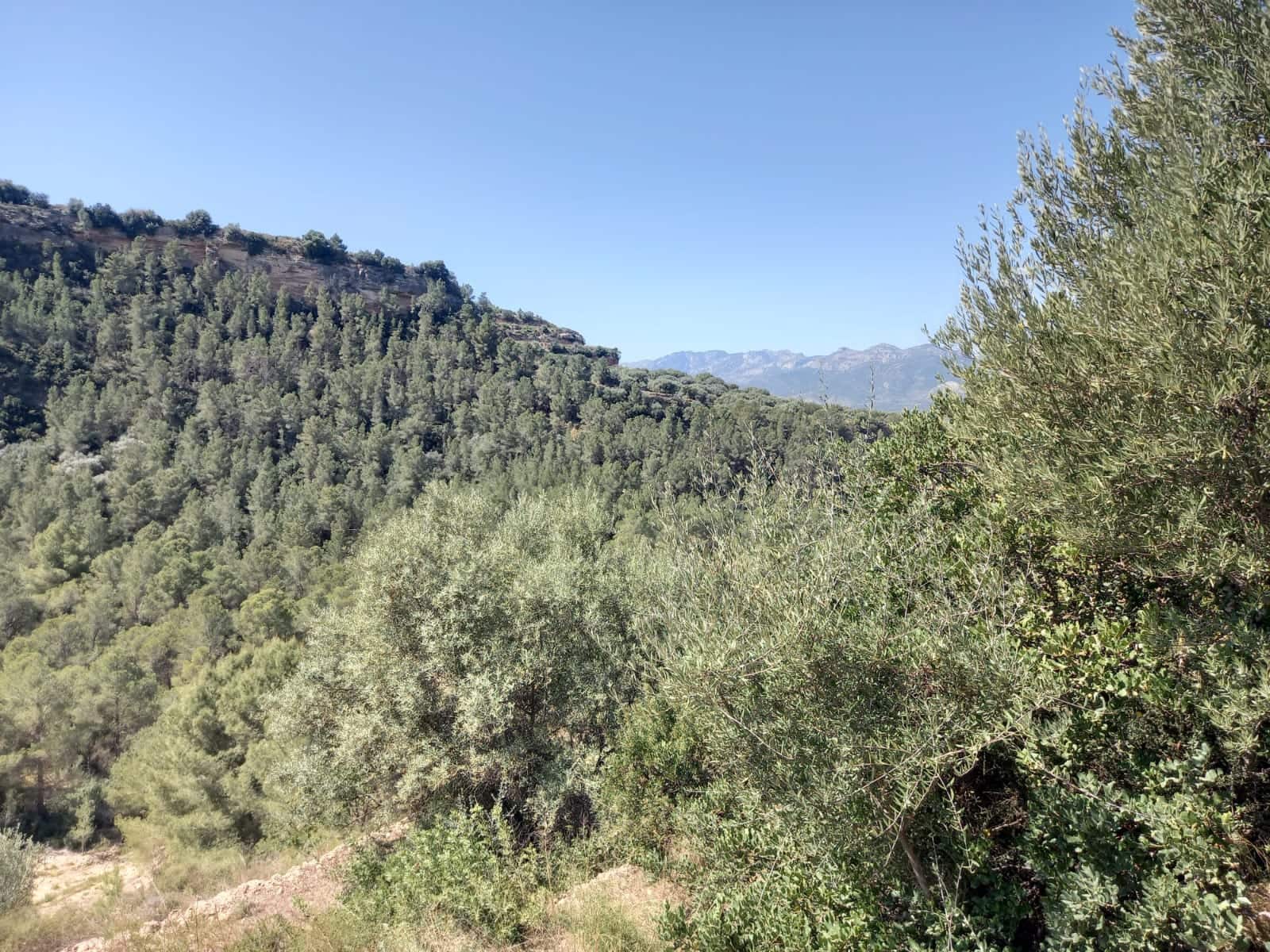 Finca/Landehus til salg i Tivenys - € 12.000 (Ref: 5998991)