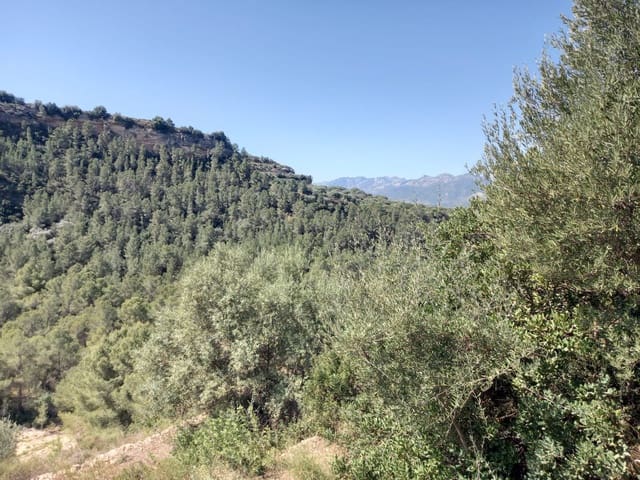 Finca/Landehus til salg i Tivenys - € 12.000 (Ref: 5998991)