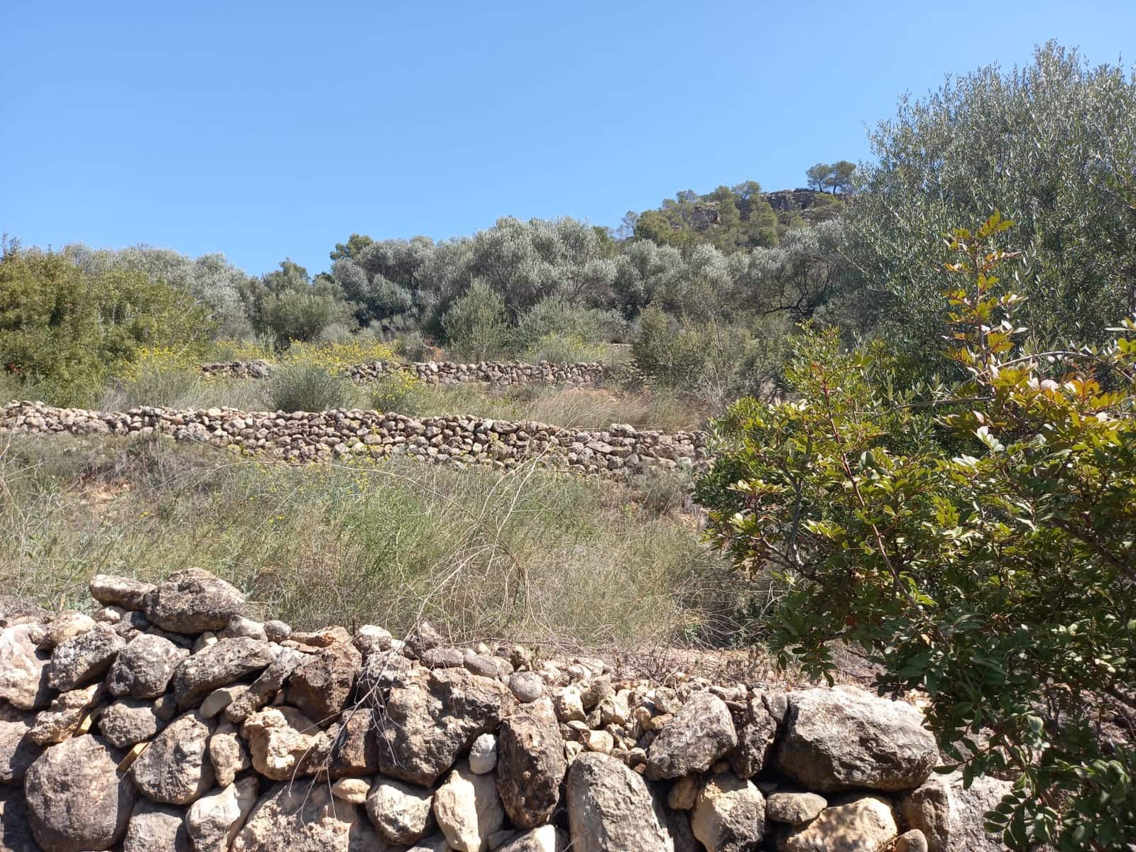 Finca/Landehus til salg i Tivenys - € 12.000 (Ref: 5998991)