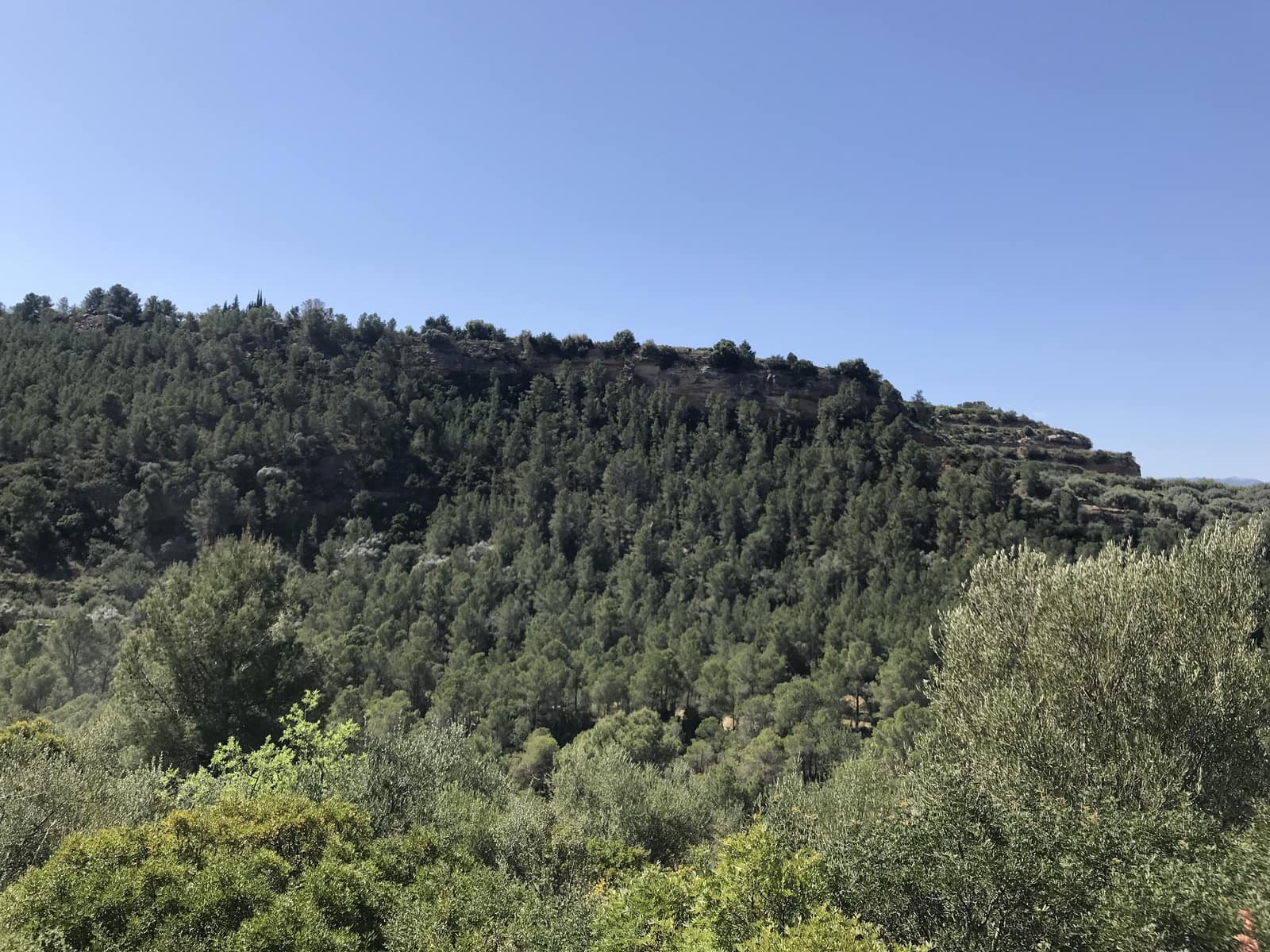 Finca/Landehus til salg i Tivenys - € 12.000 (Ref: 5998991)