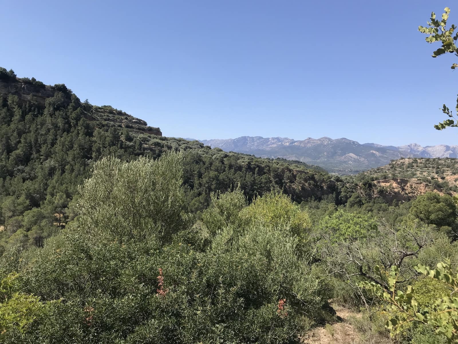 Finca/Landehus til salg i Tivenys - € 12.000 (Ref: 5998991)