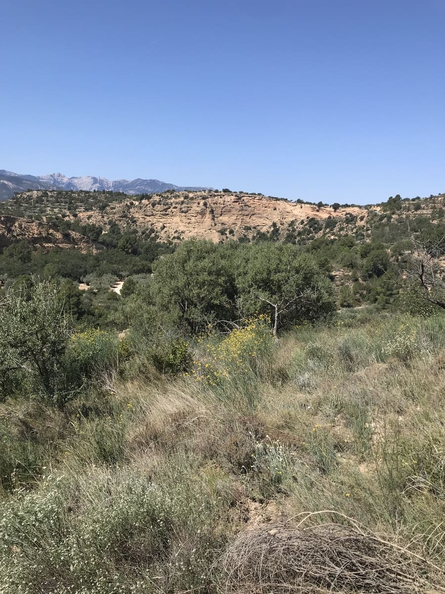 Finca/Landehus til salg i Tivenys - € 12.000 (Ref: 5998991)