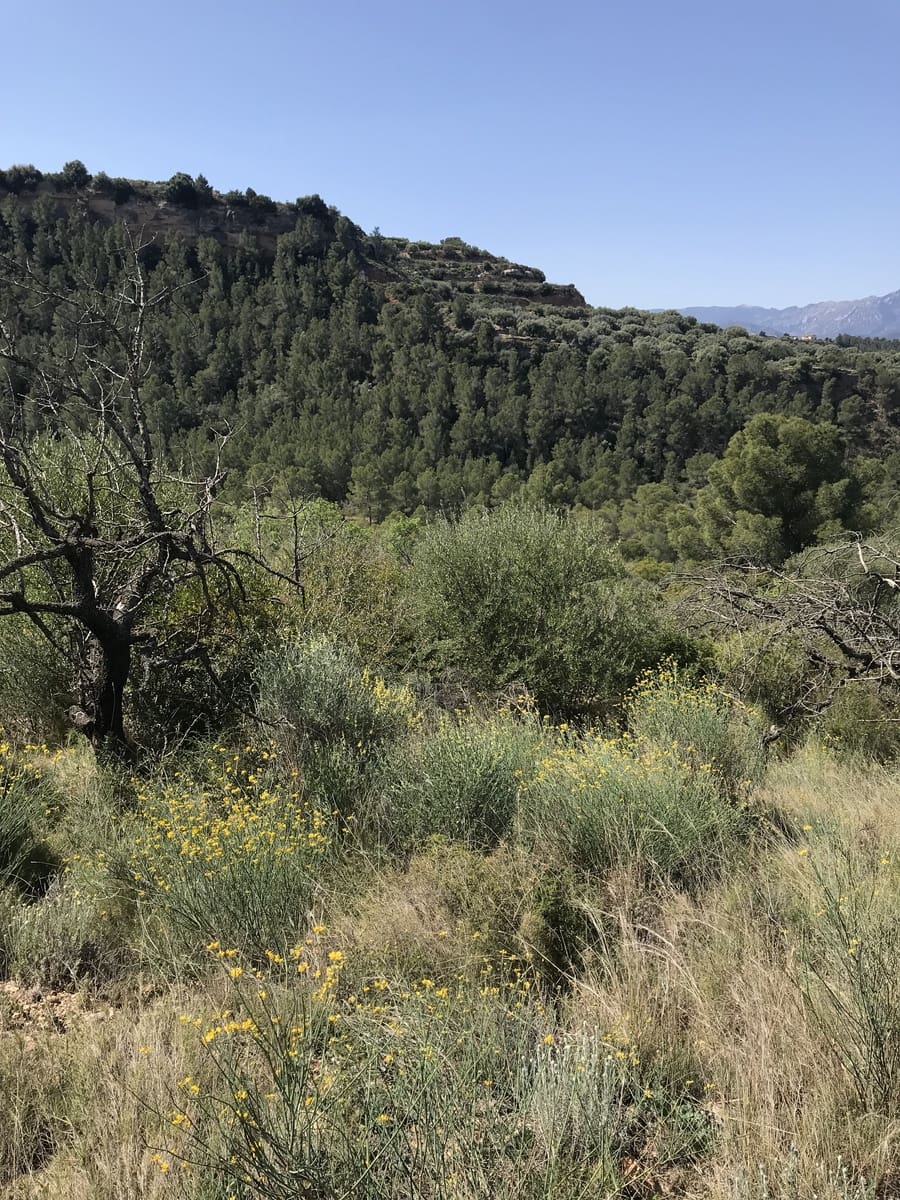 Finca/Landehus til salg i Tivenys - € 12.000 (Ref: 5998991)