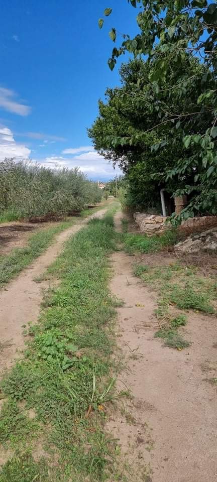 Finca/Landehus til salg i Mora la Nova - € 115.000 (Ref: 6341734)