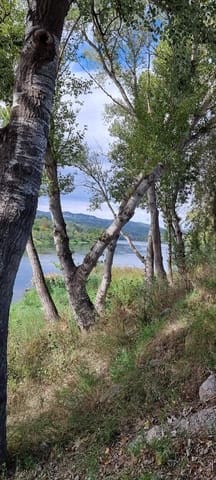 Finca/Landehus til salg i Móra la Nova - € 115.000 (Ref: 6341734)