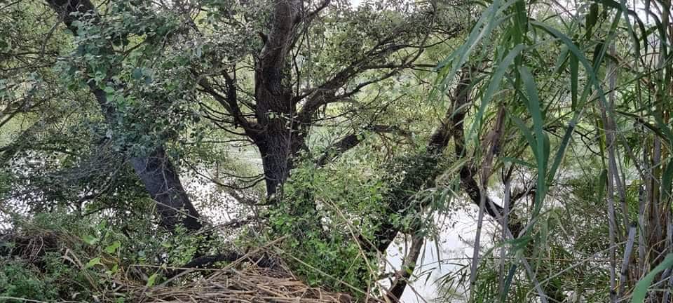 Finca/Landehus til salg i Mora la Nova - € 115.000 (Ref: 6341734)