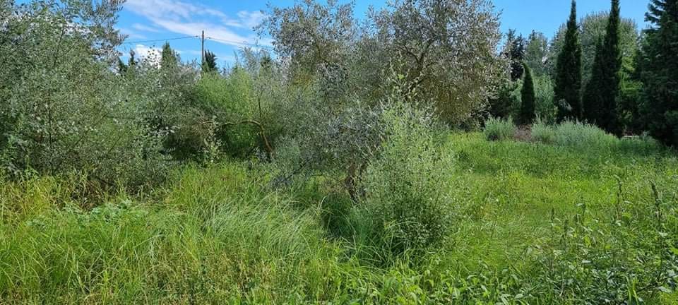 Finca/Landehus til salg i Mora la Nova - € 115.000 (Ref: 6341734)