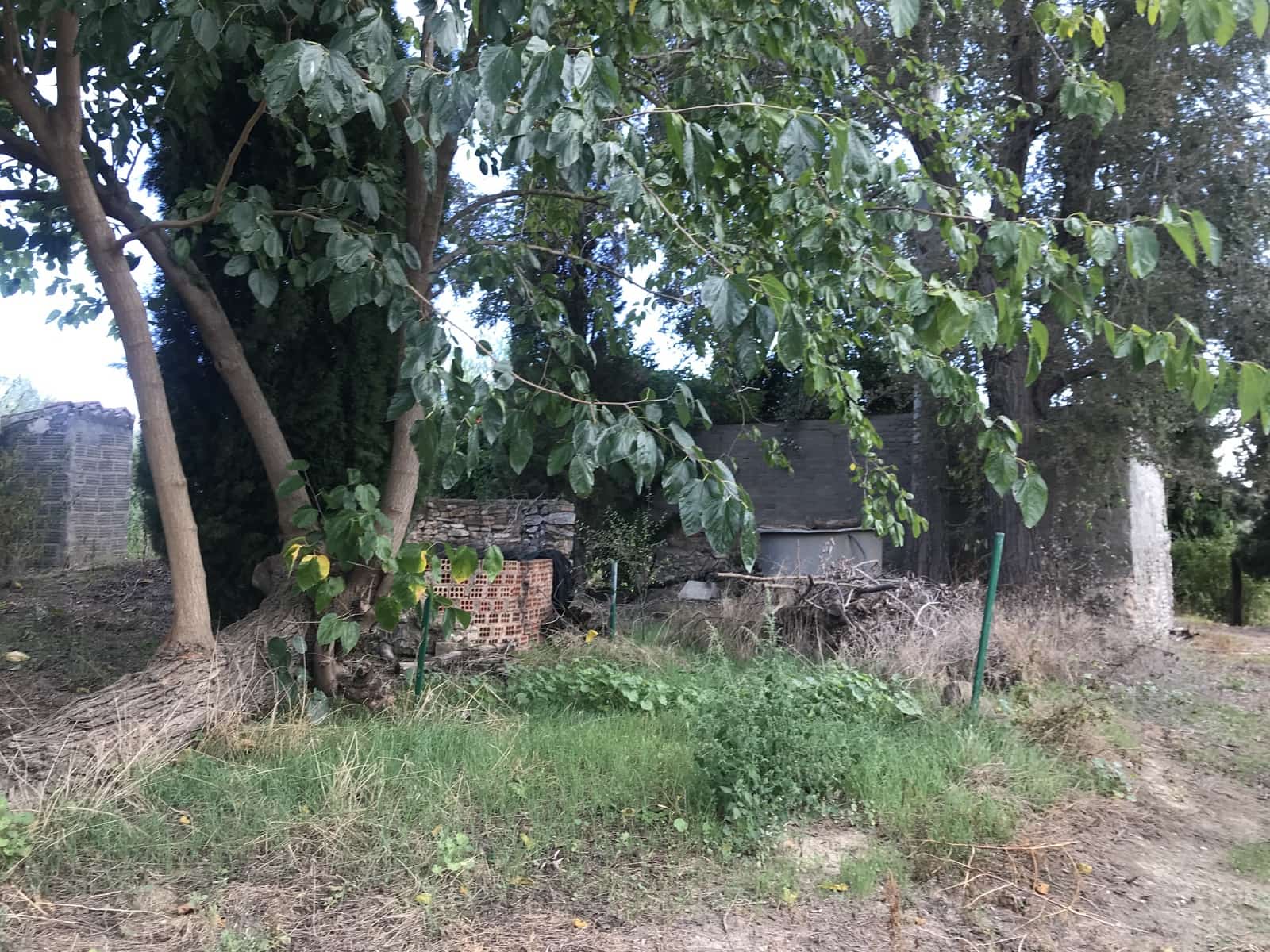 Finca/Landehus til salg i Mora la Nova - € 115.000 (Ref: 6341734)