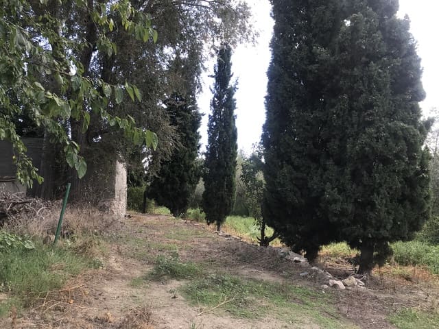 Finca/Landehus til salg i Móra la Nova - € 115.000 (Ref: 6341734)