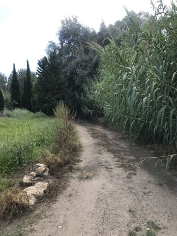 Finca/Landehus til salg i Móra la Nova - € 115.000 (Ref: 6341734)