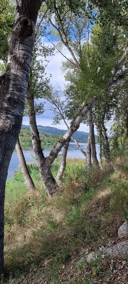 Finca/Maison de Campagne à vendre à Mora la Nova - 95 000 € (Ref: 6341734)