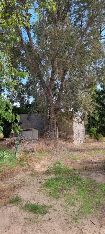 Finca/Maison de Campagne à vendre à Mora la Nova - 95 000 € (Ref: 6341734)