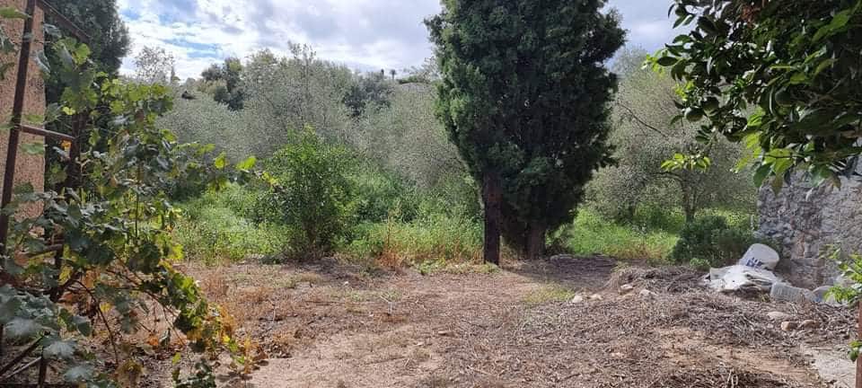 Finca/Maison de Campagne à vendre à Mora la Nova - 95 000 € (Ref: 6341734)