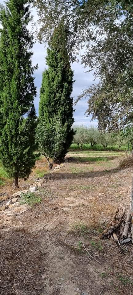 Finca/Maison de Campagne à vendre à Mora la Nova - 95 000 € (Ref: 6341734)