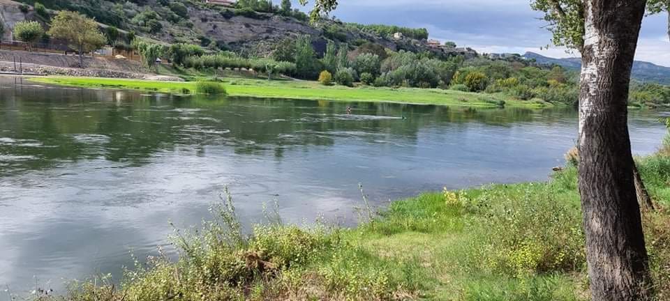 Finca/Maison de Campagne à vendre à Mora la Nova - 95 000 € (Ref: 6341734)