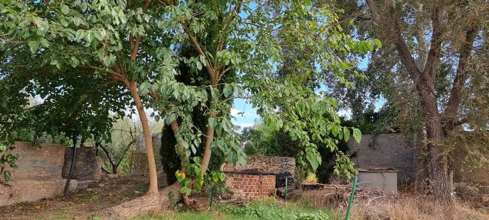 Finca/Maison de Campagne à vendre à Mora la Nova - 95 000 € (Ref: 6341734)