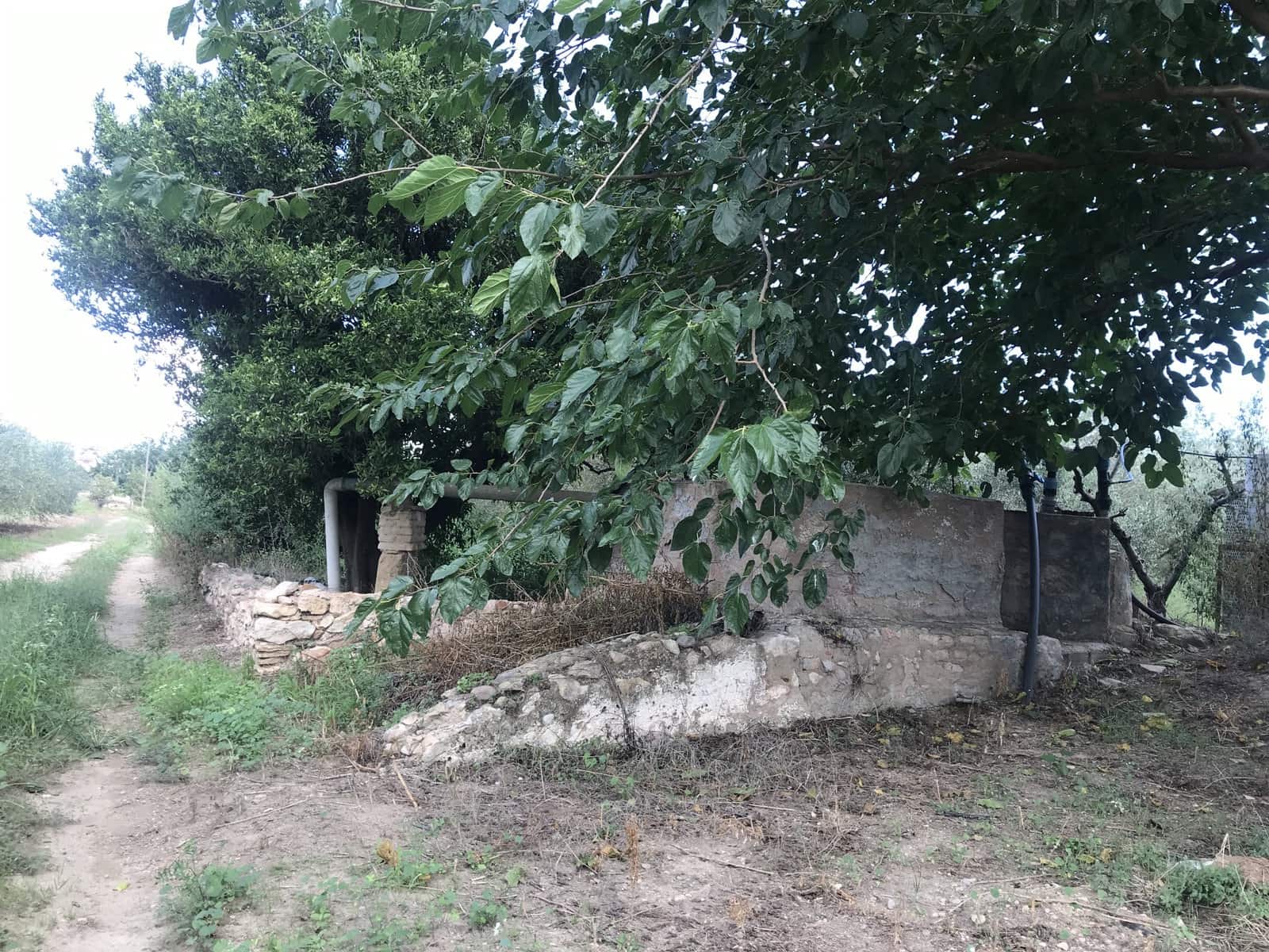 Finca/Maison de Campagne à vendre à Mora la Nova - 95 000 € (Ref: 6341734)