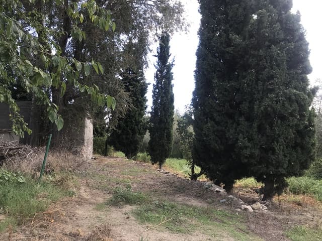 Finka/Dom wiejski na sprzedaż w Móra la Nova - 95 000 € (Ref: 6341734)