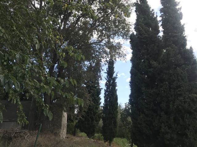 Finka/Dom wiejski na sprzedaż w Móra la Nova - 95 000 € (Ref: 6341734)