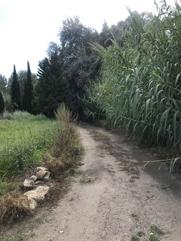 Finka/Dom wiejski na sprzedaż w Móra la Nova - 95 000 € (Ref: 6341734)