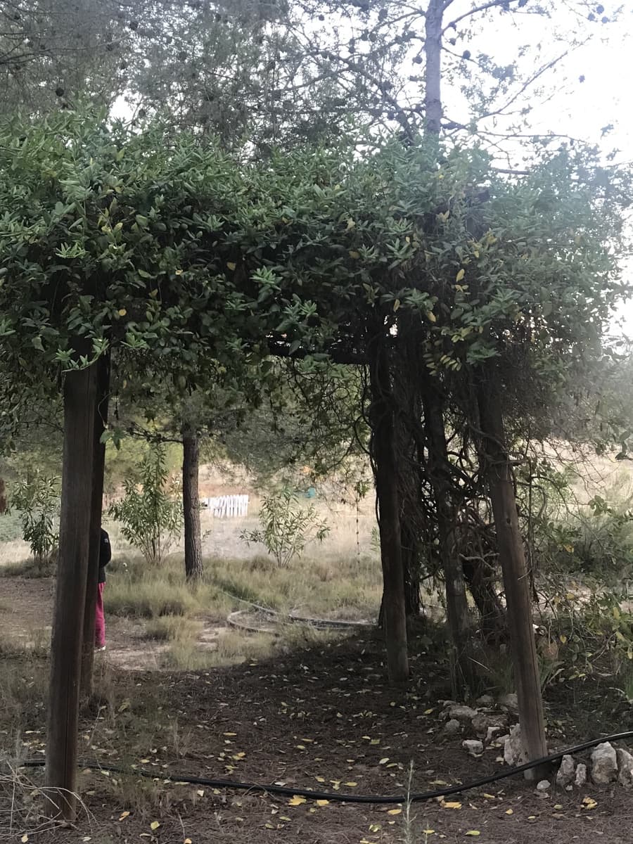 1 soveværelse Finca/Landehus til salg i Mora d'Ebre - € 138.000 (Ref: 6433364)