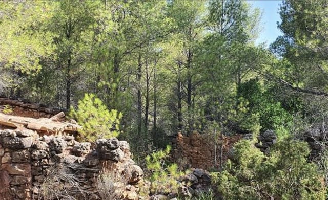 Finca/Landehus til salg i Benifallet - € 15.000 (Ref: 6509172)