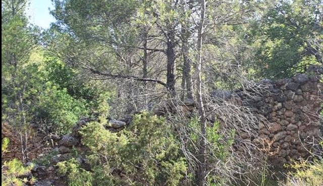 Finca/Landehus til salg i Benifallet - € 15.000 (Ref: 6509172)