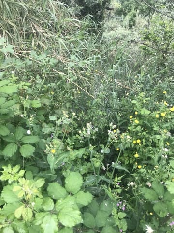 Finca/Casa di Campagna in vendita in Benifallet - 18.000 € (Rif: 6807836)