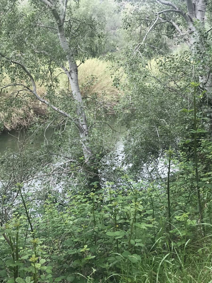 Finca/Herregård til salgs i Benifallet - € 18 000 (Ref: 6807836)