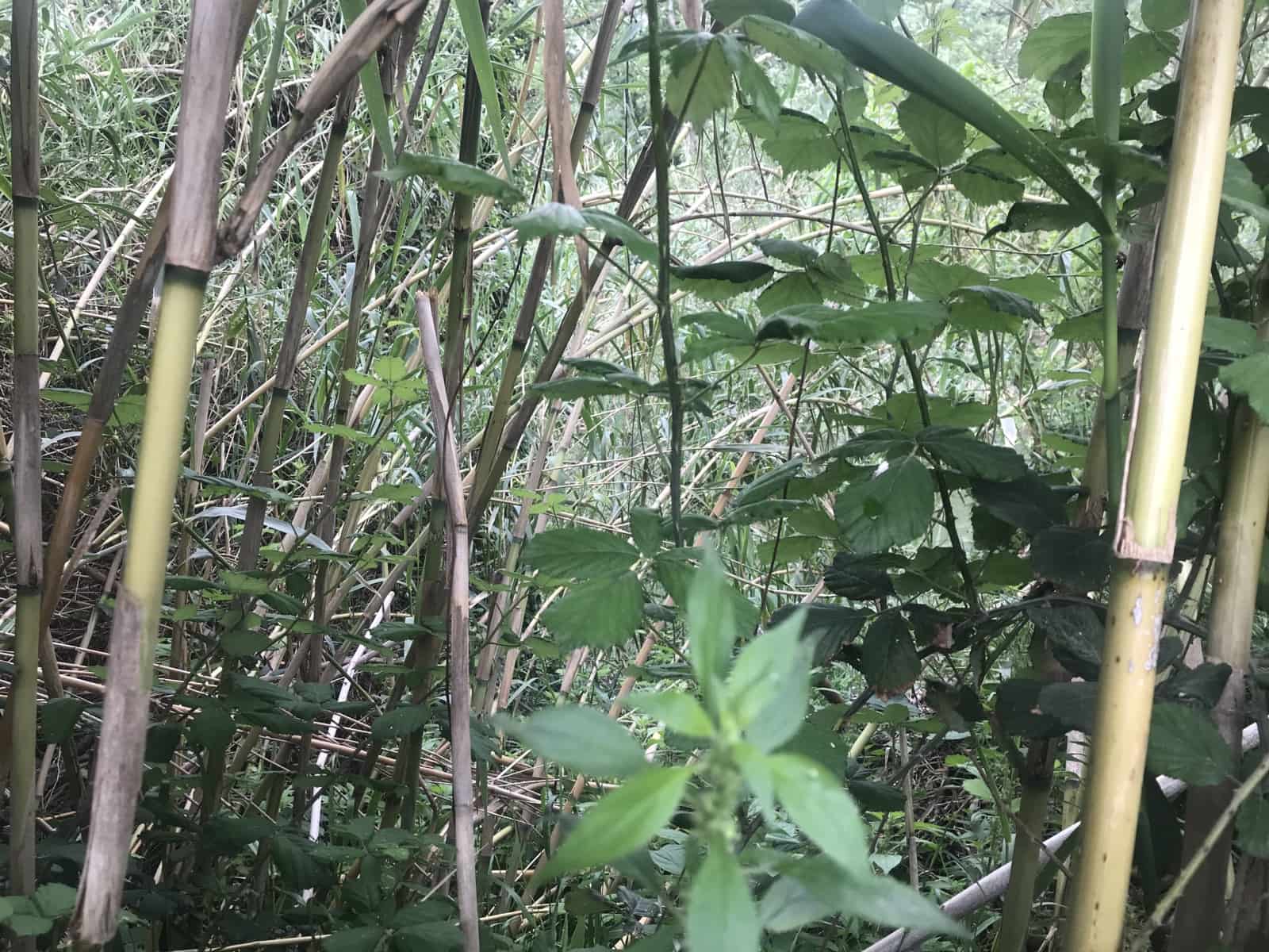 Finca/Herregård til salgs i Benifallet - € 18 000 (Ref: 6807836)