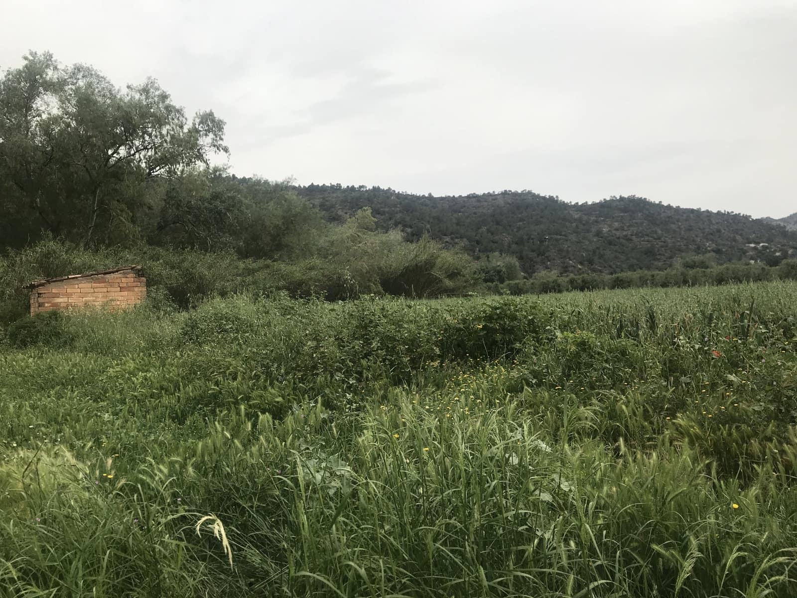 Finca/Herregård til salgs i Benifallet - € 18 000 (Ref: 6807836)