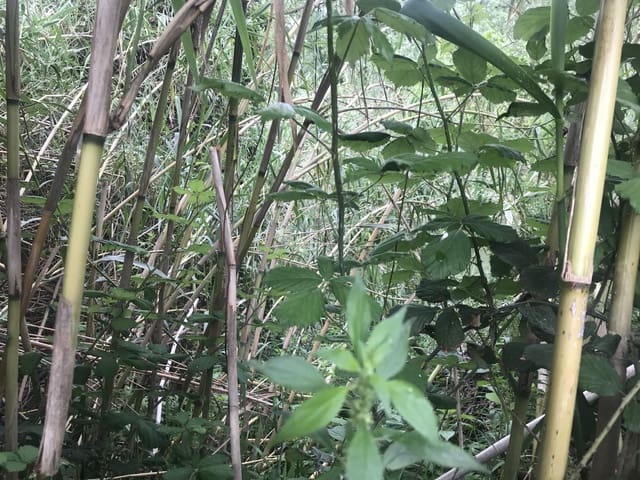 Finca/Casa di Campagna in vendita in Benifallet - 18.000 € (Rif: 6807836)