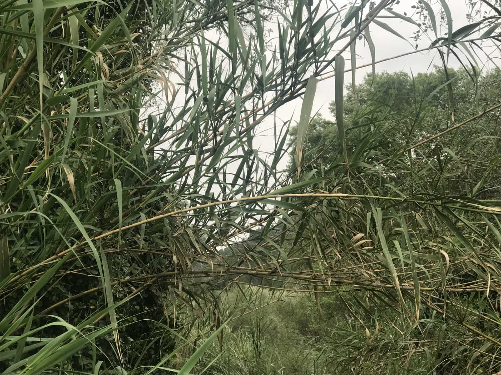 Finca/Herregård til salgs i Benifallet - € 18 000 (Ref: 6807836)