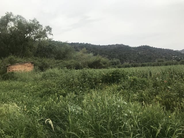 Finca/Herregård til salgs i Benifallet - € 18 000 (Ref: 6807836)