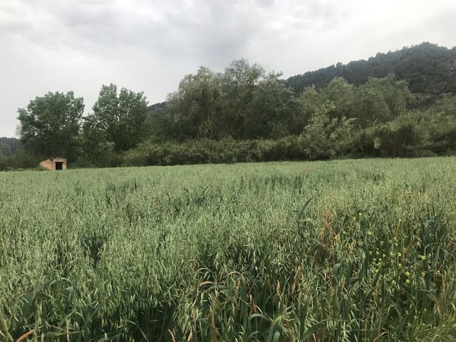 Finca/Herregård til salgs i Benifallet - € 18 000 (Ref: 6807836)