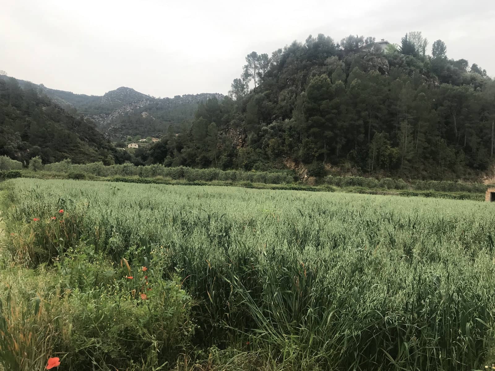 Finca/Casa Rural en Benifallet en venta - 18.000 € (Ref: 6807836)