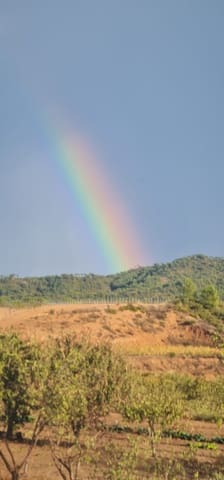 Finca/Landehus til salg i Corbera d'Ebre - € 34.000 (Ref: 7236845)